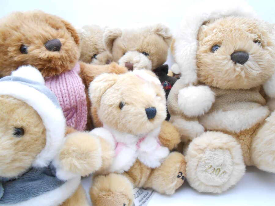 Douglas Plüsch Teddybären Sammlung Konvolut Stofftier 11 Stück
