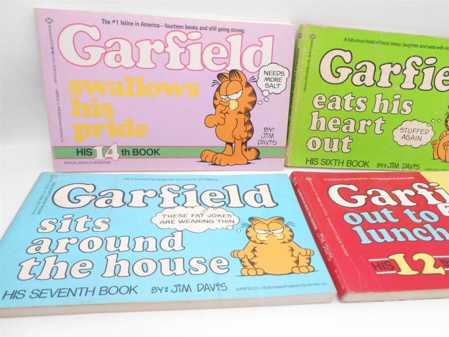 Garfield Plüschfigur Plüsch Katze + 4 Bücher (Englisch) Play by Play 2021