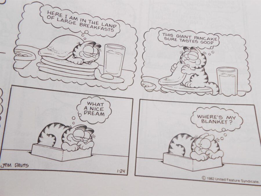 Garfield Plüschfigur Plüsch Katze + 4 Bücher (Englisch) Play by Play 2021