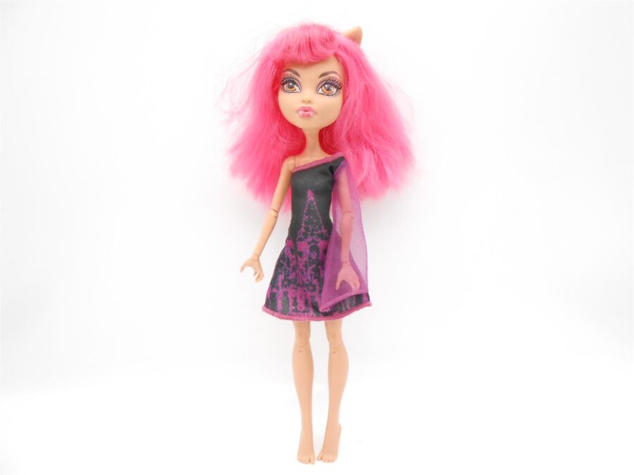 Monster High HOWLEEN WOLF Puppe Doll Mattel Sammlerstück