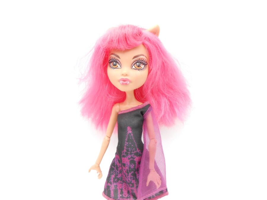Monster High HOWLEEN WOLF Puppe Doll Mattel Sammlerstück