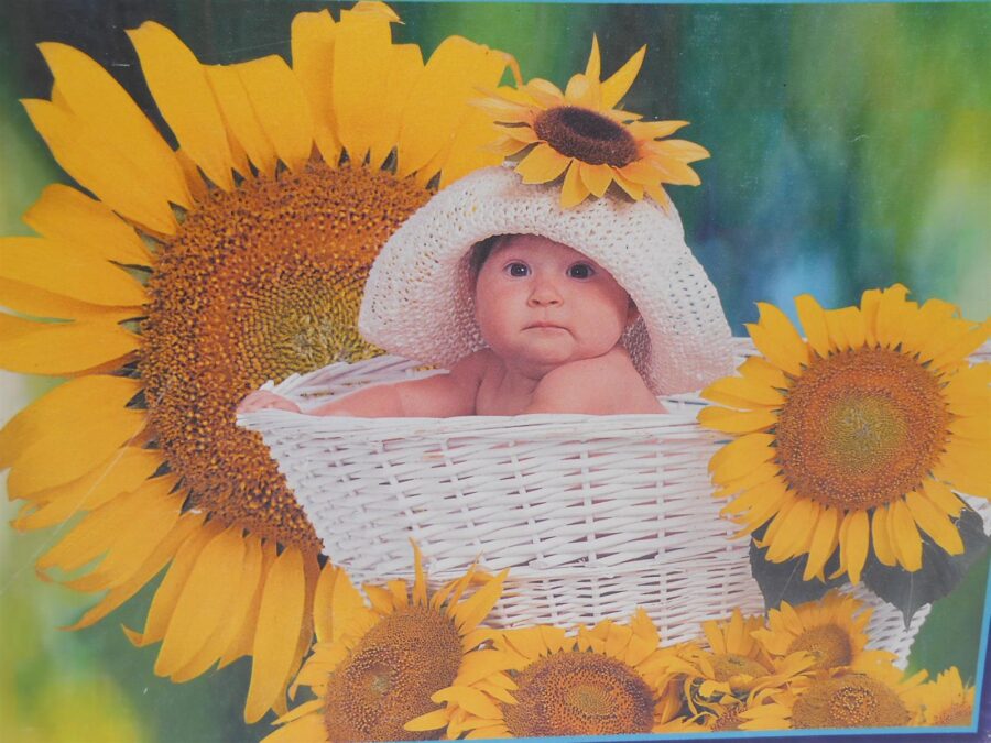 PUZZLE Pasta Baby Sommerfrische Ravensburger (komplett) 2x 1000 Teile